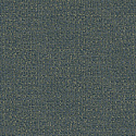 W05 50460