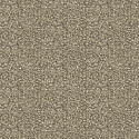 52556 52556