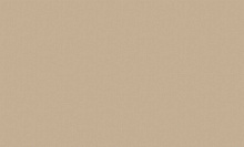 Бежевые обои для стен Bernardo Bartalucci Artadi 84288-5